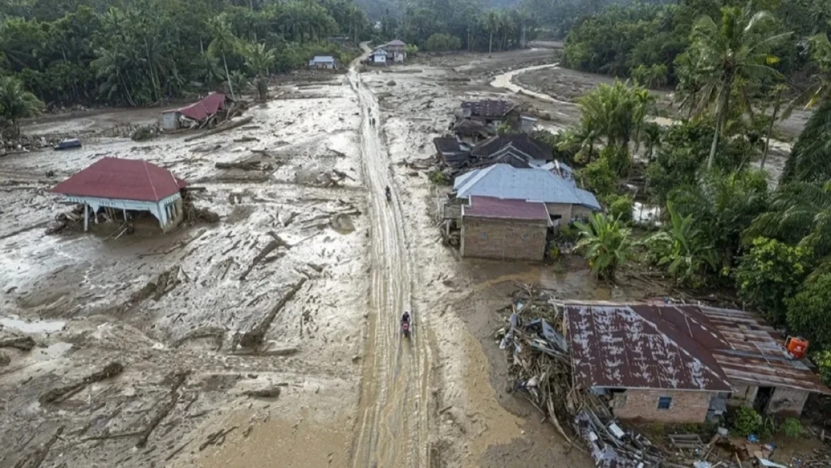 Daftar Perusahaan Pengelola Hutan yang Izinnya Bermasalah, 6 di Antaranya Diduga Penyebab Banjir Sumatra