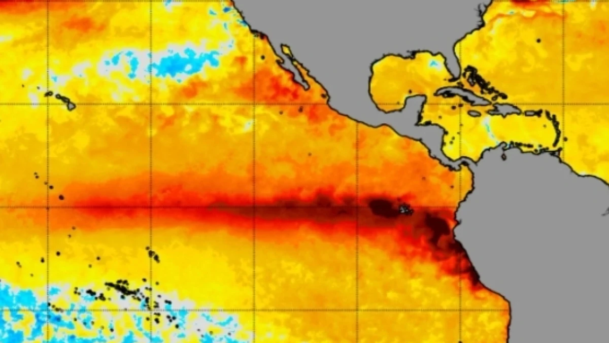 EL Nino Bakal Memburuk di Desember, PBB Bersiap Antisipasi Paceklik Pangan Global
