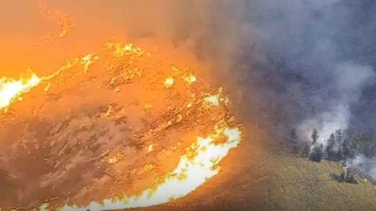 Setelah Kebakaran Hutan Kemarin, Besok Wisata Bromo Dibuka Lagi