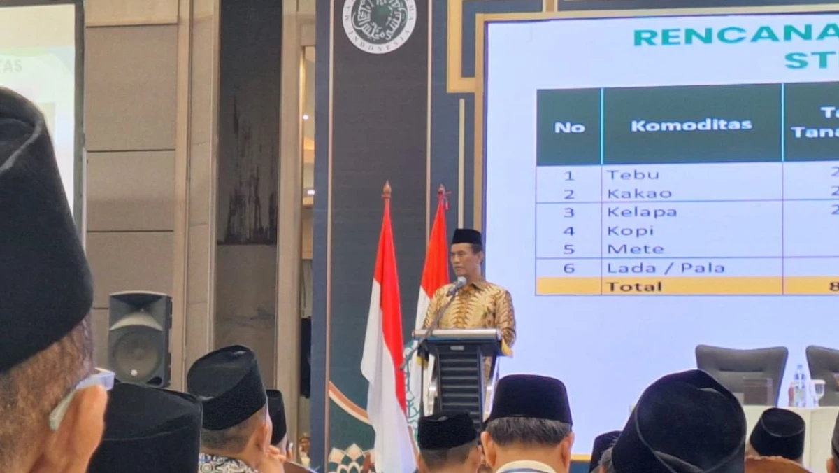 Optimisme Swasembada, Indonesia Bantu Rakyat Palestina 10 Ribu Ton Beras