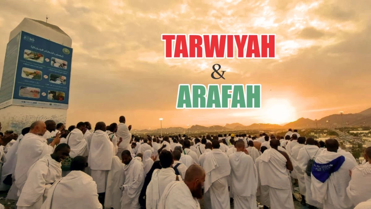 Tarwiyah-Arafah: Refleksi Penghambaan Tulus dan Taat Tanpa Syarat