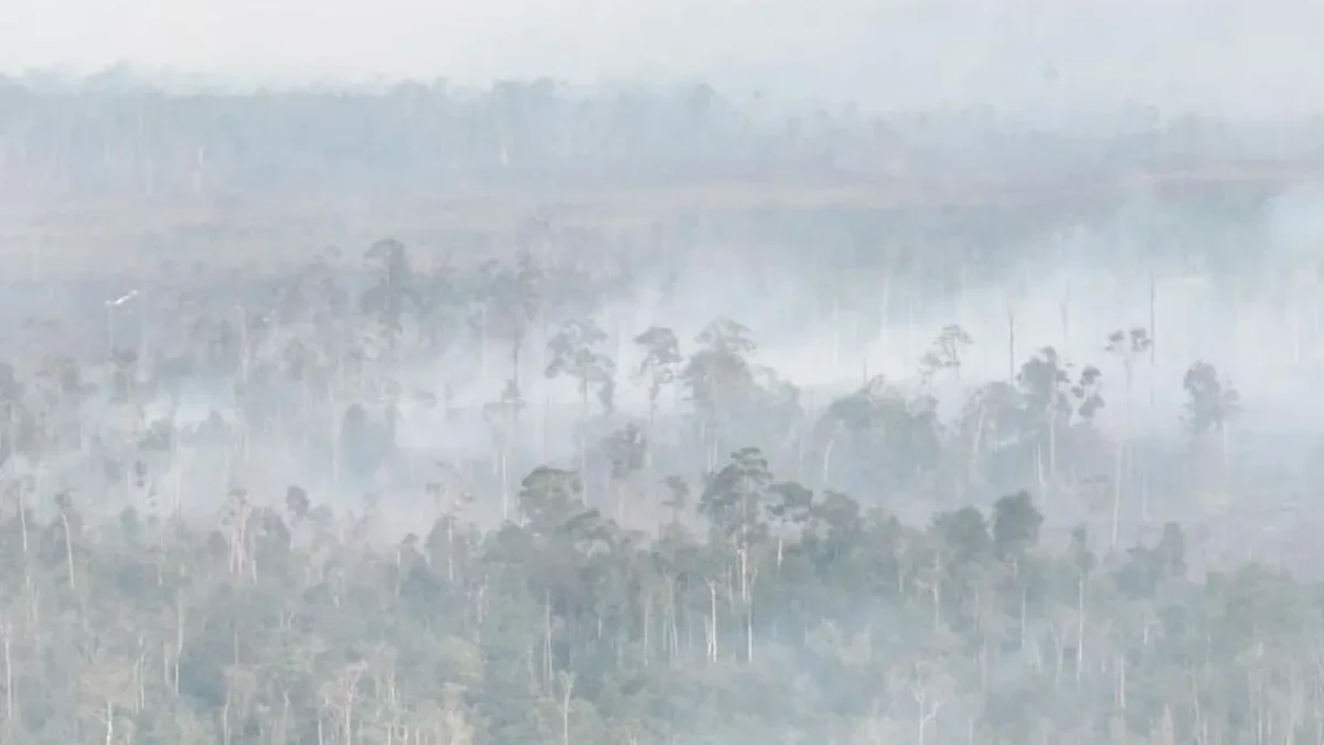 Karhutla Kalimantan Makin Buruk, Kabut Asap Ganggu Aktivitas Warga hingga Lintas Negara