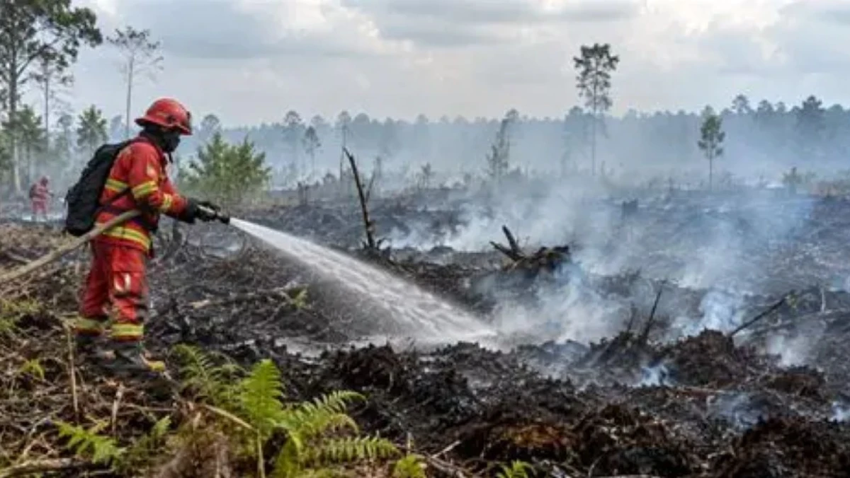 Pakar UGM: Kebakaran Lahan Gambut Sulit Dipadamkan karena Api Menjalar ke Bawah Tanah