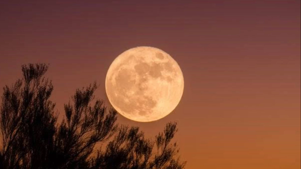 Melihat Kesempurnaan Bulan Terindah 'Blue Moon' di Akhir Bulan Ini