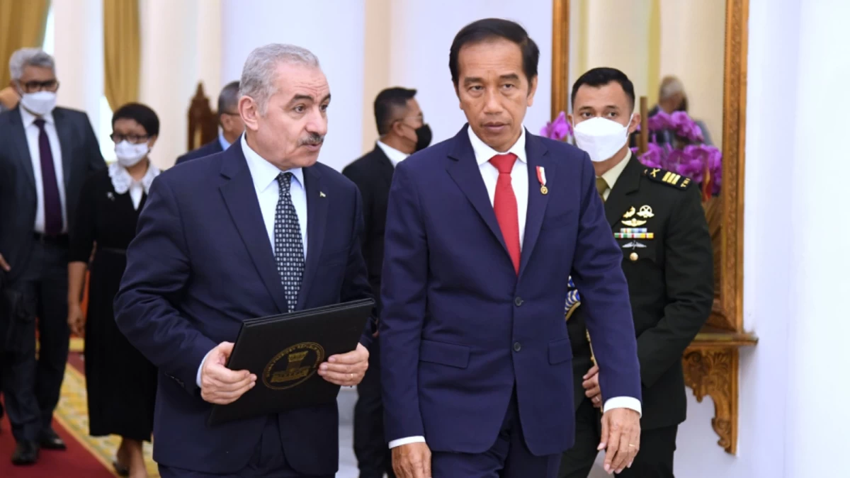 Potensi Indonesia sebagai 'Middle Power' dalam Menyelesaikan Konflik Palestina-Israel