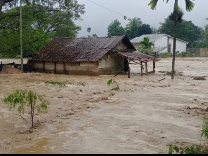 Total Korban Meninggal Bencana Sumatera Utara, Sumatera Barat dan Aceh Jadi 442 Orang