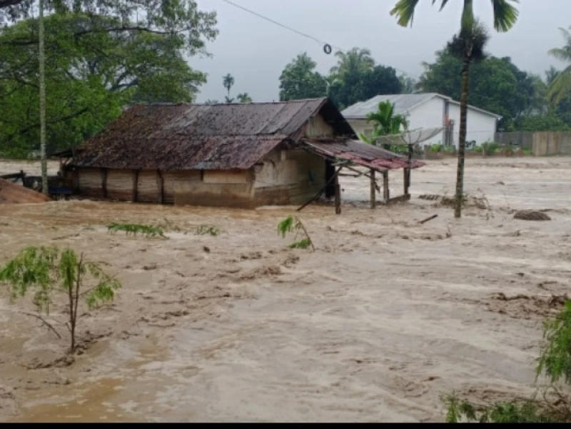 YLBHI Desak Pemerintah Tetapkan Status Bencana Nasional Banjir Sumut hingga Aceh