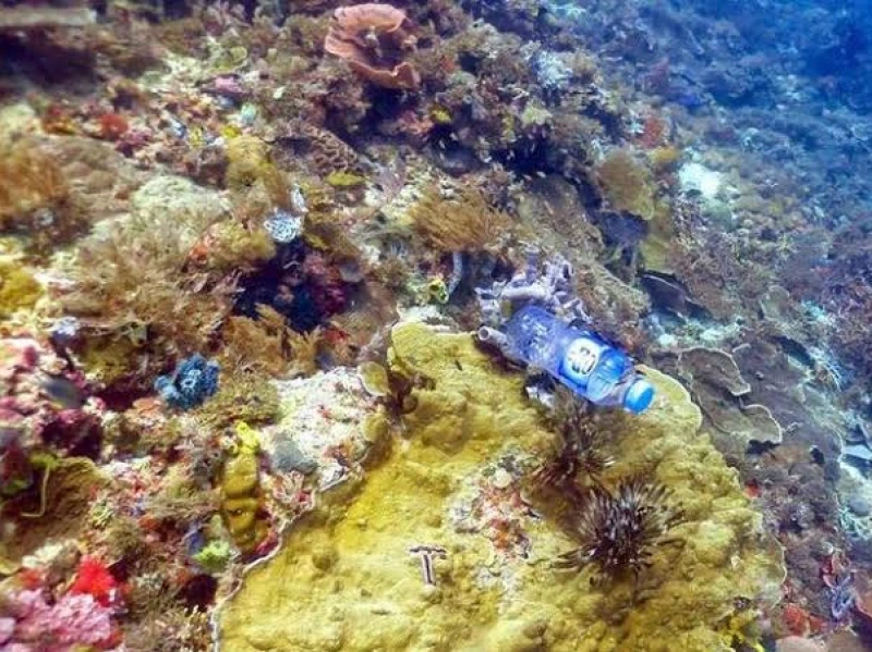 AI Buatan Jepang Mampu Deteksi Sampah Plastik di Dasar Laut Lebih Cepat