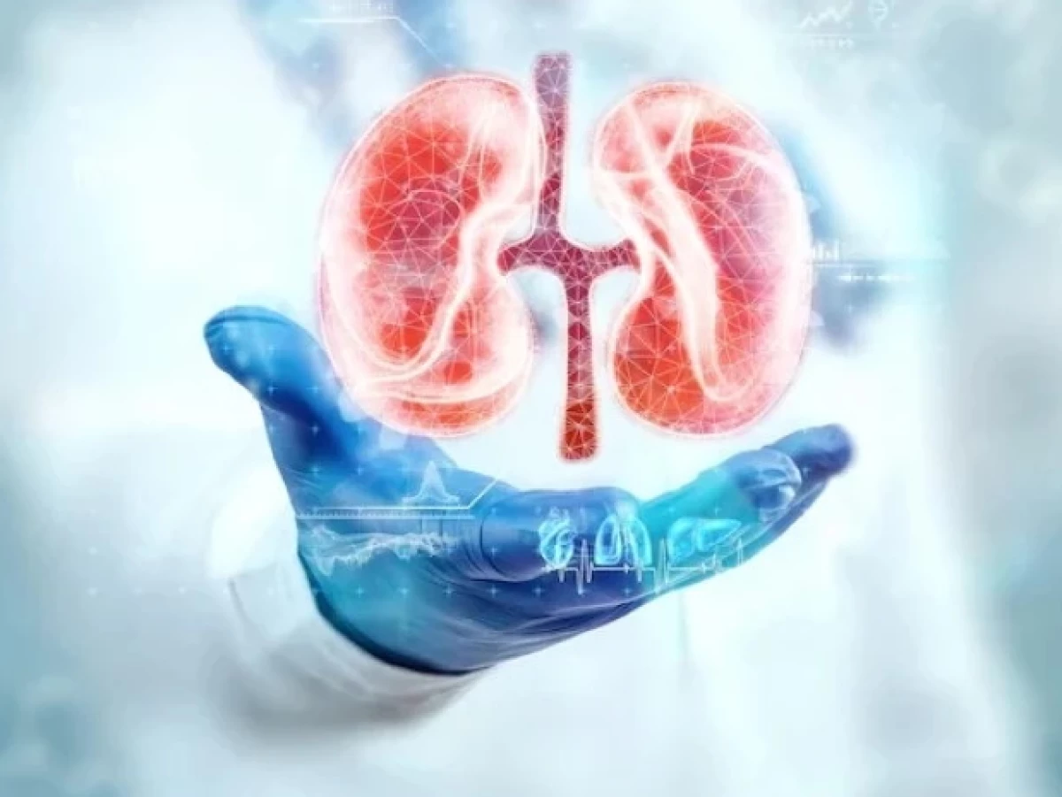 Donor Ginjal, Jual Beli Organ Tubuh, Hingga Biaya Pencalegan