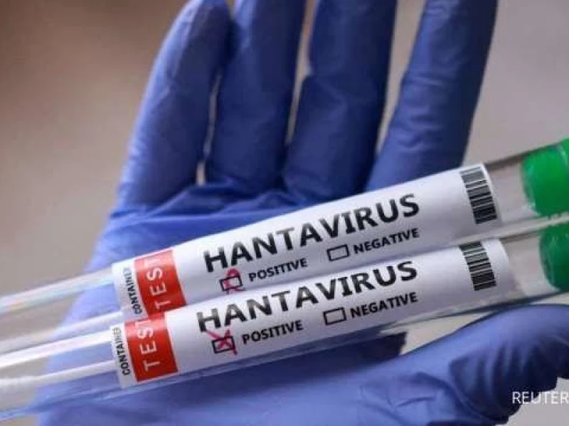 Waspada Hantavirus, Kemenkes Pastikan Belum Ada Kasus HPS di Indonesia