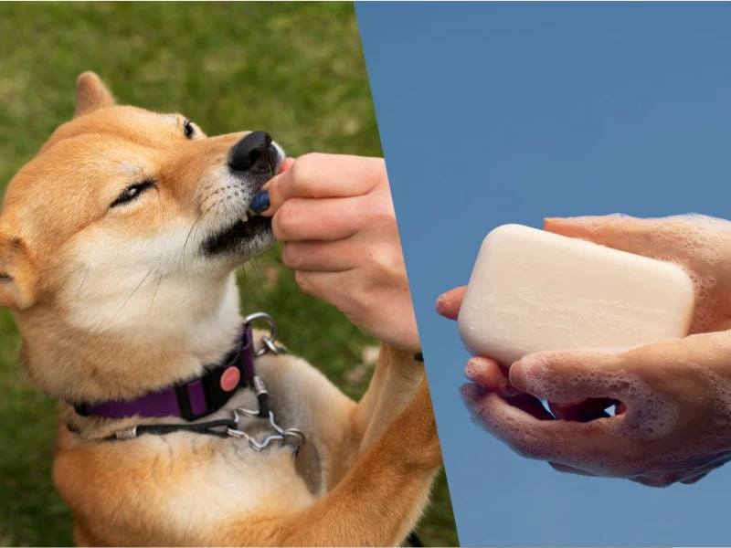 Sabun Bisa Ganti Debu Tanah untuk Bersuci dari Najis Anjing?