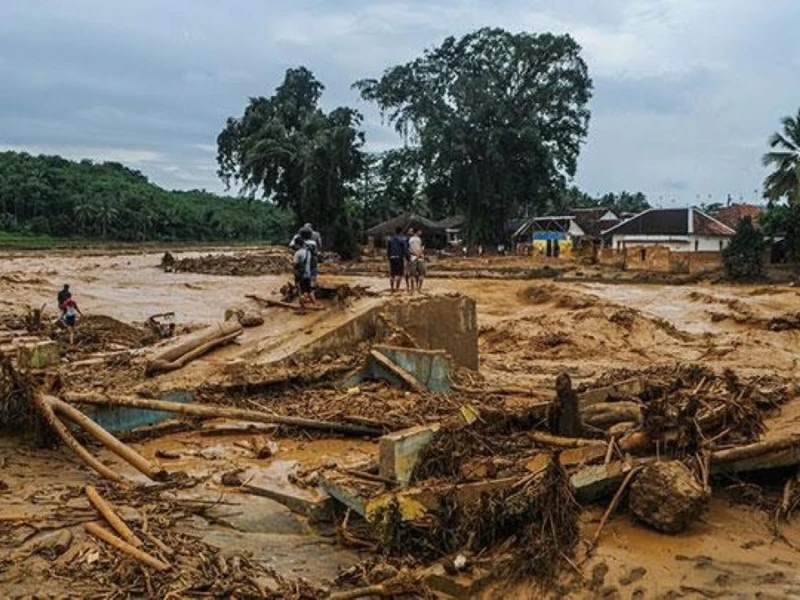 Sisa Karhutla Berpotensi Picu Banjir Bandang