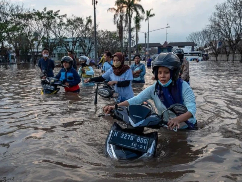 Prediksi BMKG 24 September 2026:  Banjir Pesisir di Sumbar, Jateng, Jatim, Kalteng, Kalbar