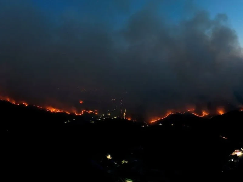 Bencana Kebakaran Hutan di Korea Selatan, 4 Orang Tewas
