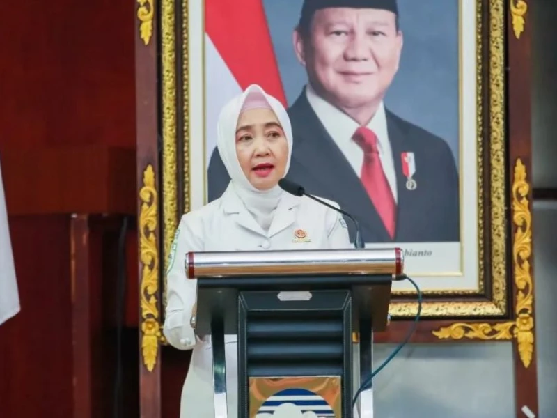 Beberapa Wilayah Memasuki Musim Hujan, Pemda Diminta Siaga