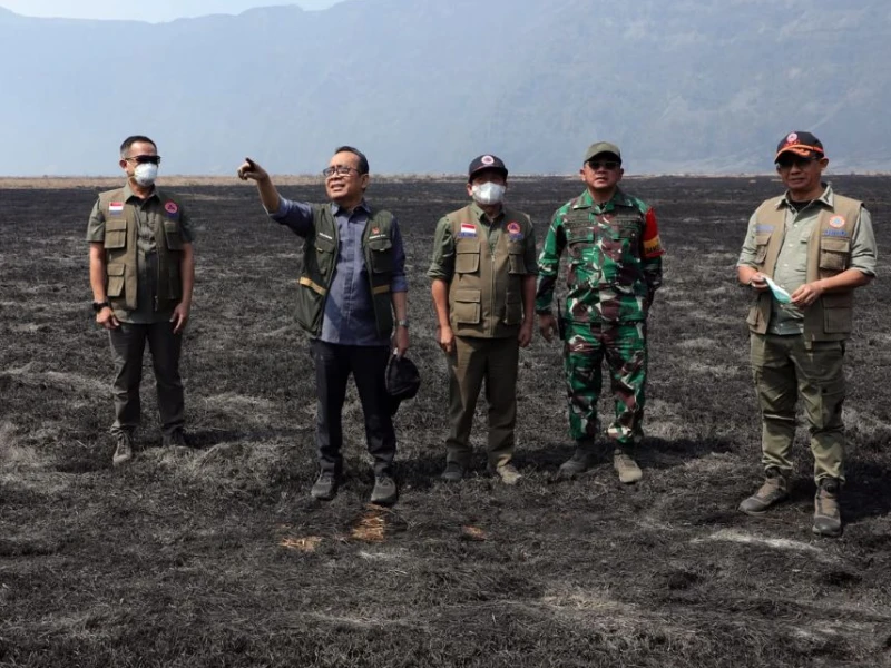 Kebakaran 889 Hektare Kawasan Bromo Dinyatakan Padam, tapi Bara Masih Perlu Diwaspadai