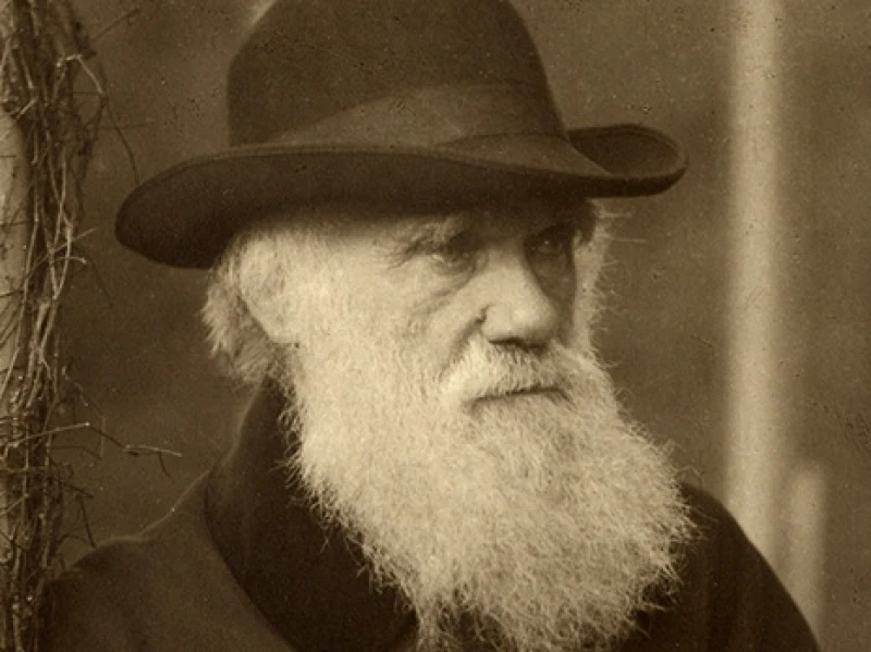 12 Februari 2025 Memperingati Hari Apa? Ada Hari Darwin dan Hari Pariwisata di Taipei