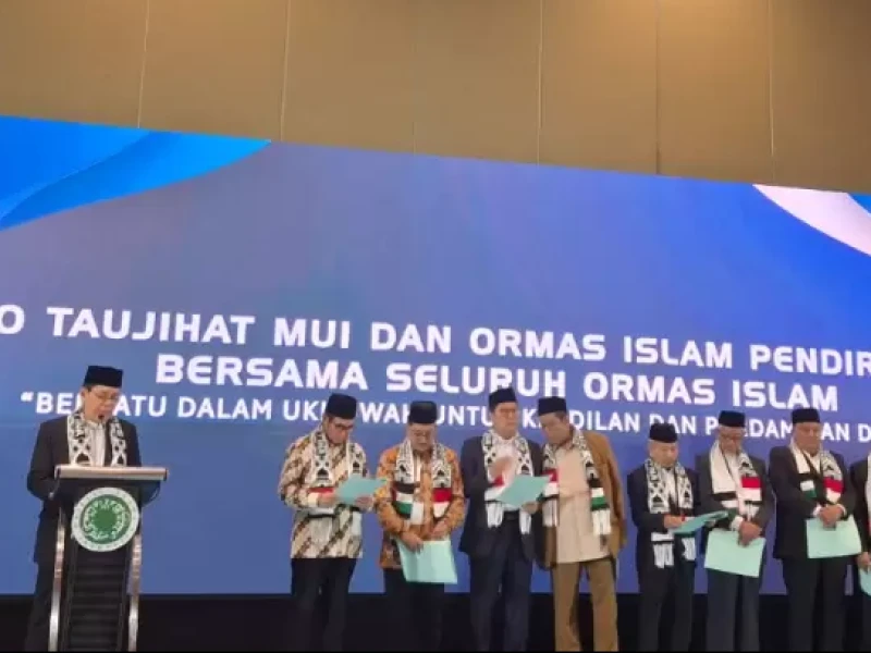 Taujihat MUI dan Ormas Islam: Serukan Hentikan Agresi Israel, Minta Pemerintah Ambil Peran Perdamaian Dunia