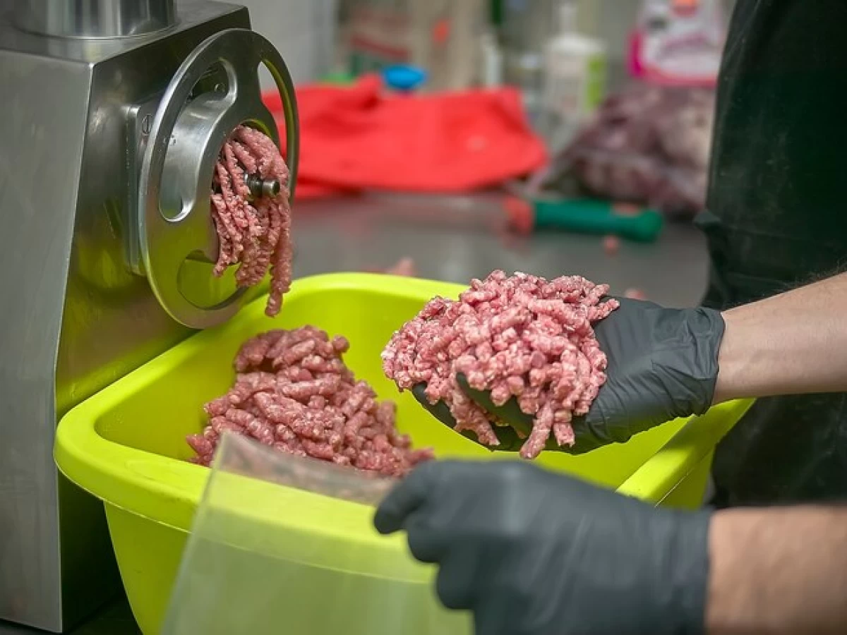 Menggiling Daging Bakso dengan Campuran Es, Sucikah?