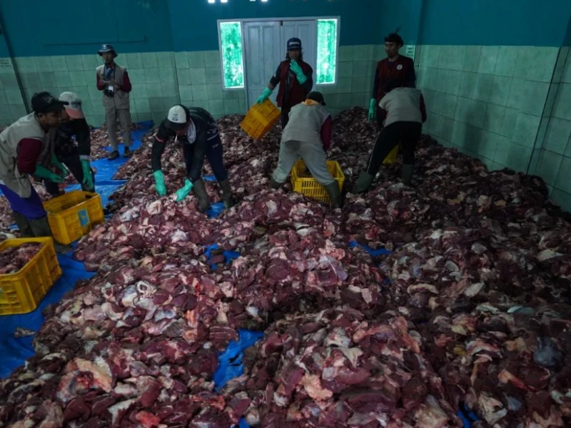 Banjir Kurban di Desa Batur Banjarnegara, Warga Himpun 176 Sapi dan 714 Kambing pada Idul Adha 2026