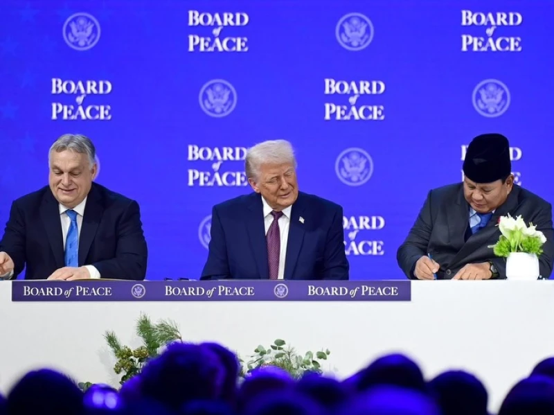 Board of Peace dan Kesalahan Strategis Indonesia