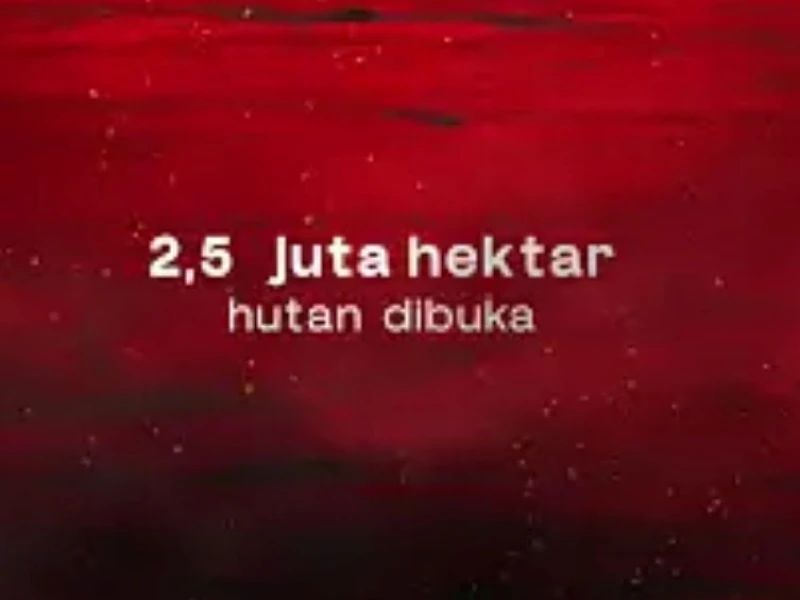 Film Dokumenter Pesta Babi dan Cerita Perjuangan Ibu-Ibu