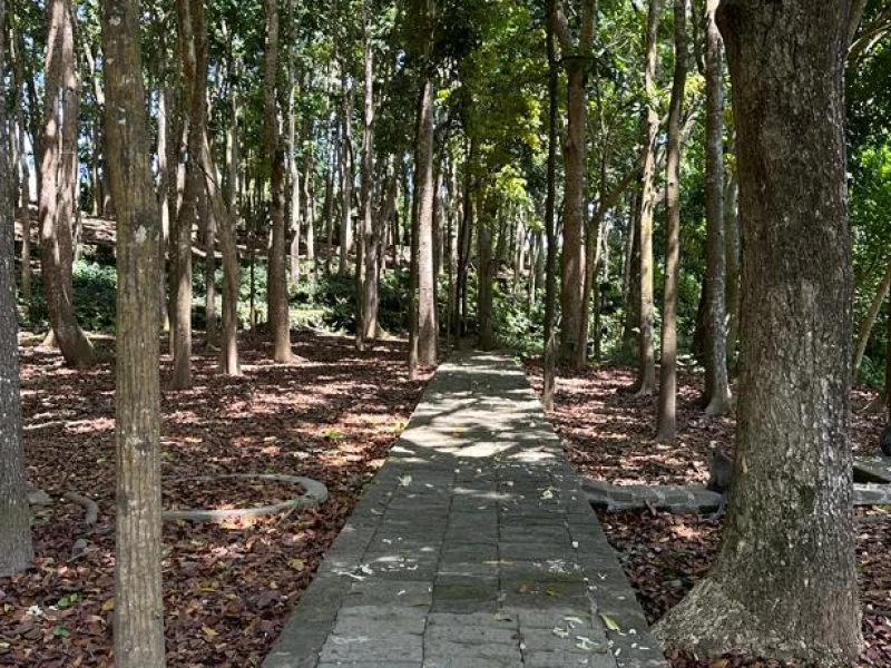 Sejarah Monkey Forest Ubud Bali dan Konsep Tri Hita Karana
