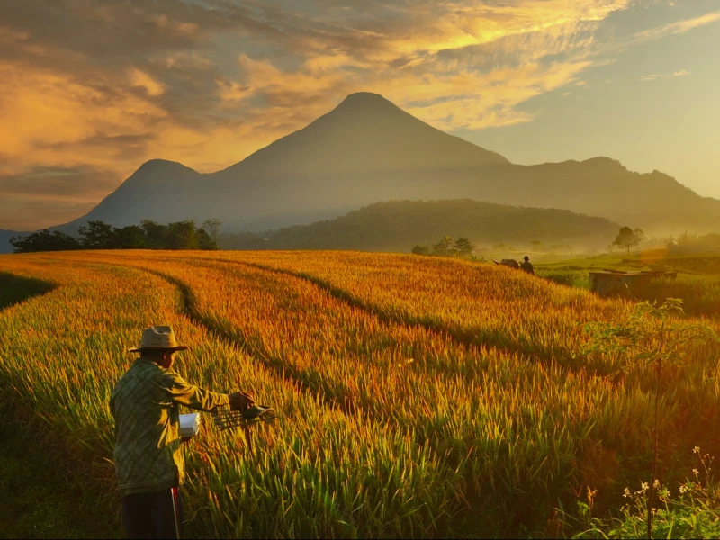 9 Rekomendasi Gunung di Mojokerto yang Indah Cocok untuk Pendaki Pemula