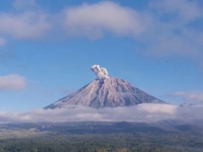 Hari Ini Gunung Semeru Erupsi, Semburkan Awan Setinggi 700 Meter