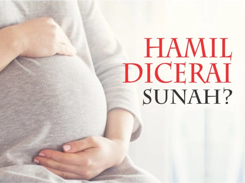Meluruskan Pendapat Menceraikan Istri Saat Hamil adalah Sunah
