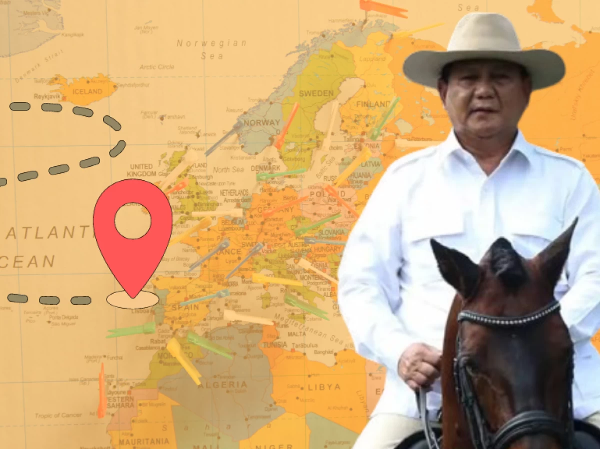 Navigasi Diplomasi Prabowo: Menyeimbangkan Hubungan dan Kepentingan Indonesia