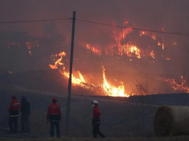 Korea Selatan Beri Penghargaan 3 WNI: Dianggap Berjasa Saat Kebakaran Hutan