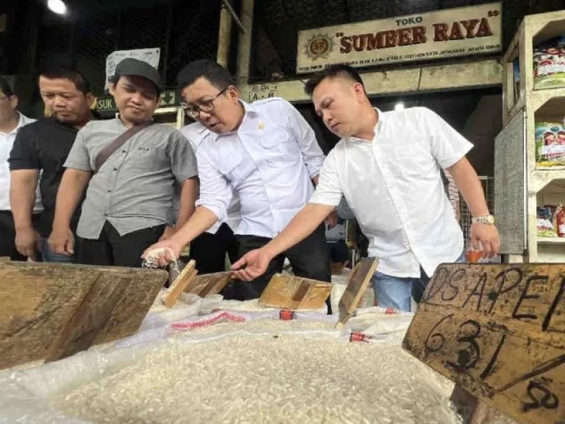 Pemerintah Sediakan Bantuan Beras 6 Bulan di Tahun 2025