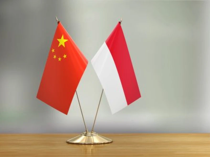 Pemerintah China Menilai Kerja Sama dengan Indonesia Kian Penting untuk Hadapi Tantangan Dunia