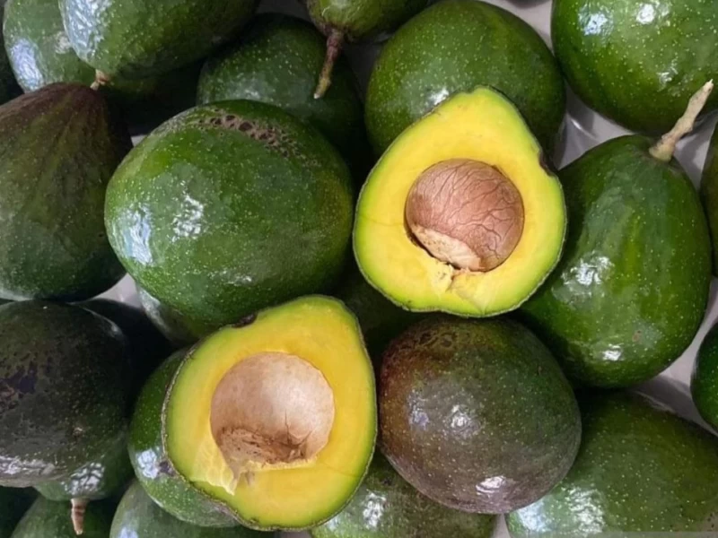 Termasuk Favorit Gus Dur, Simak Manfaat Buah Alpukat untuk Kesehatan Tubuh