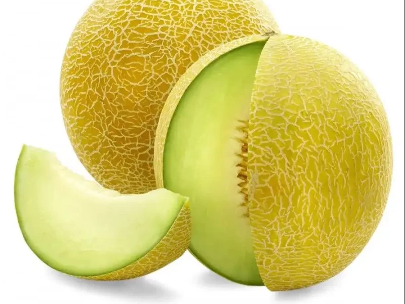 Jadi Salah Satu Kegemaran Gus Dur, Ini Manfaat Buah Melon dan Kandungannya