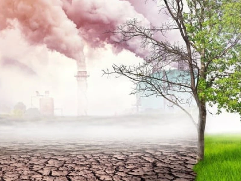 Selalu Jadi Good Boy, Indonesia Dilema Setelah Amerika Cabut dari Paris Agreement