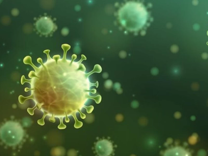Rekomendasi Makanan Bergizi untuk Cegah Virus HMPV