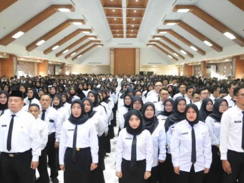 Cara Cek Pengumuman Hasil Seleksi Administrasi PPPK 2024 Tahap 2 di sscasn.bkn.go.id