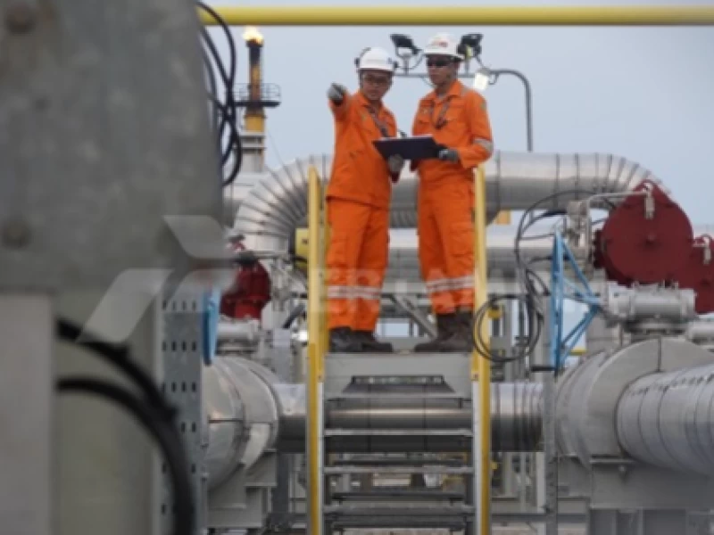 Daftar Lengkap Harga BBM Pertamina Mulai Tanggal 1 Januari 2025