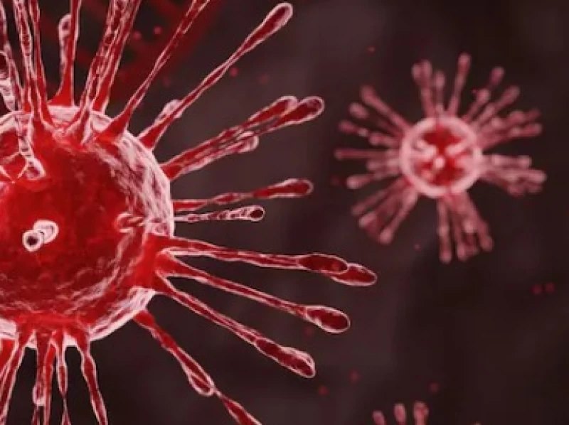 Virus HMPV: Ini Gejala, Penyebab, dan Cara Pencegahan