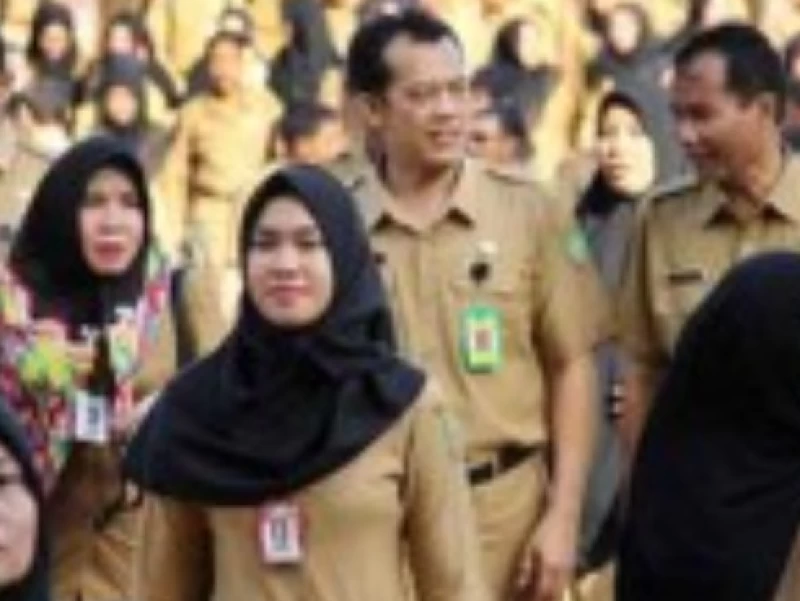 Seleksi CPNS 2024 dan Link Pengumuman Instansi-Lembaga Pemerintah