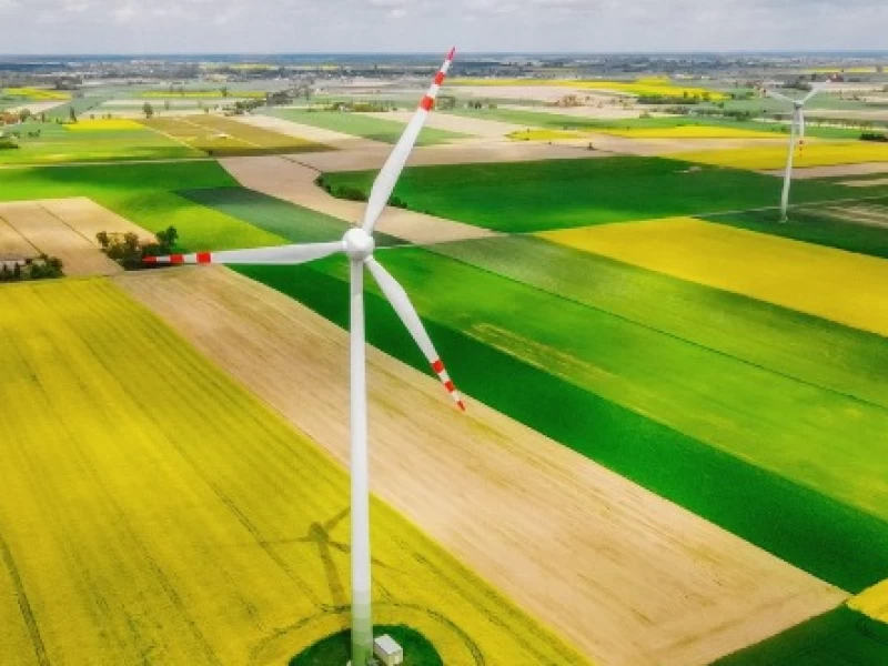 Daftar Pengurus dan Fungsi Satgas Percepatan Hilirisasi dan Ketahanan Energi Nasional