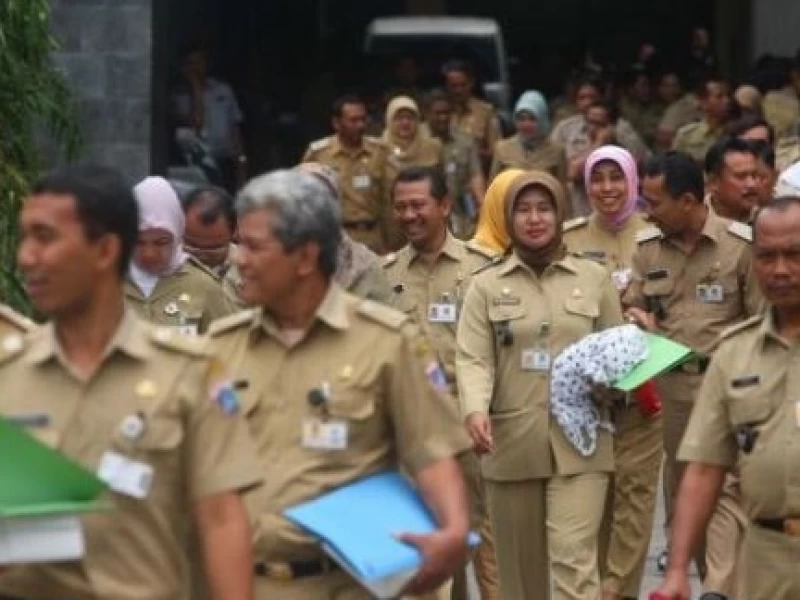 CPNS 2025: Syarat Lengkap dan Cara Pendaftaran