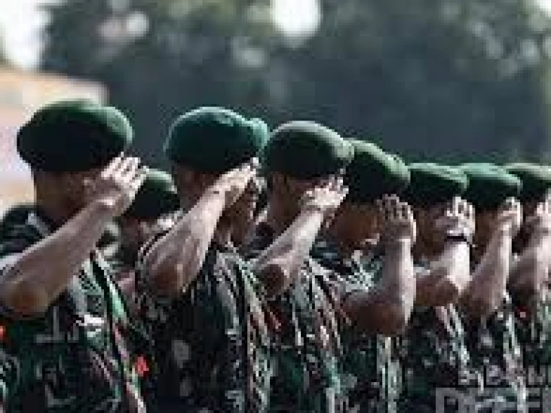 Aturan Prajurit TNI Aktif Jabat di Instansi Lain dan Respons Amnesty International Indonesia