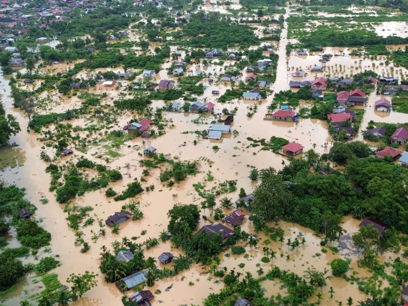 Kerugian Banjir Sumatera Capai Rp 68 T, Celios Desak Moratorium Tambang dan Sawit