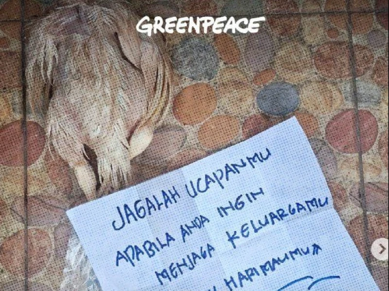 Aktivis Hingga Influencer Alami Teror Bangkai Ayam Usai Kritisi Bencana Sumatra