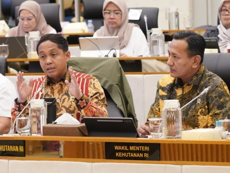 Buntut Bencana Sumatera-Aceh, Anggota Komisi IV DPR Desak Menteri Kehutanan Raja Juli Mundur