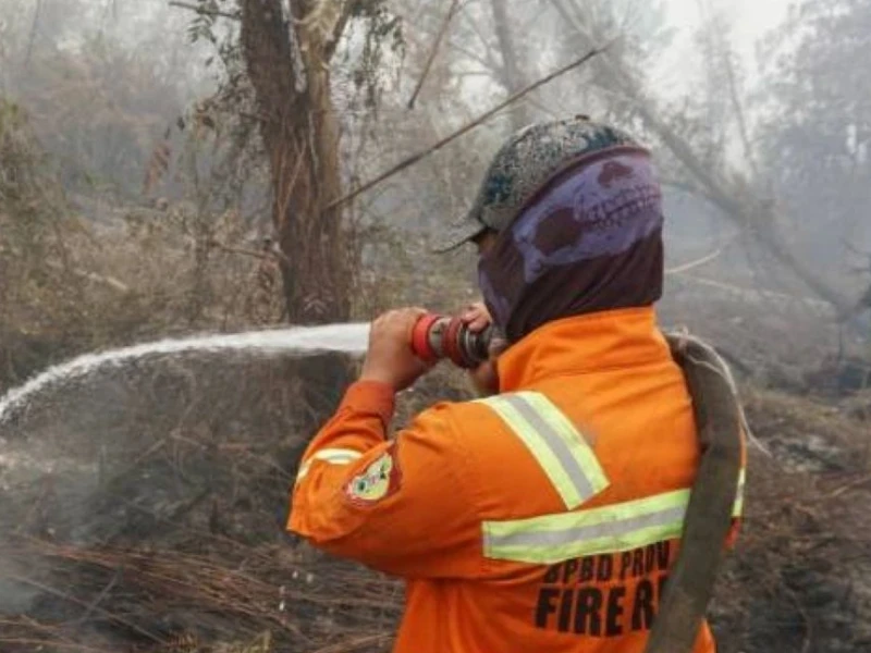 BMKG Ingatkan Potensi Karhutla hingga Oktober 2026, Kalimantan Jadi Wilayah Perhatian