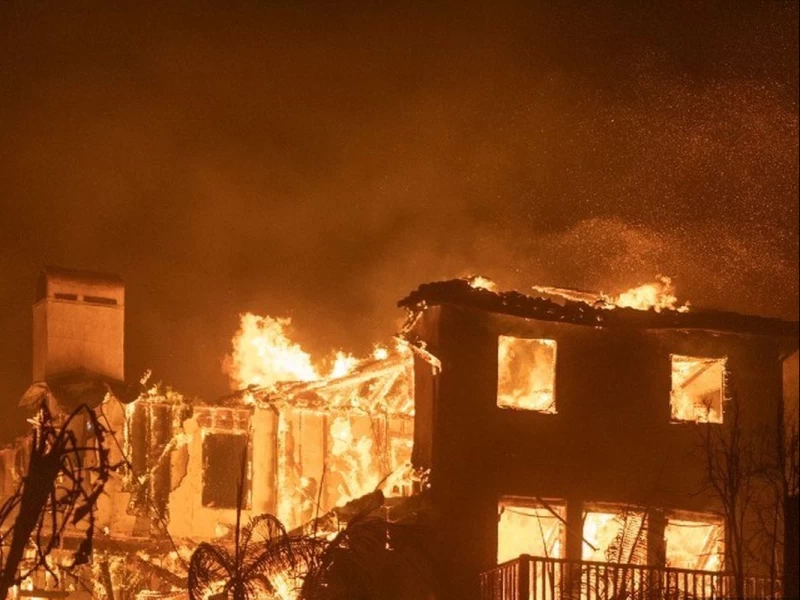 Pelajaran di Balik Kebakaran di Los Angeles: Refleksi dari Surat Al-Baqarah Ayat 266